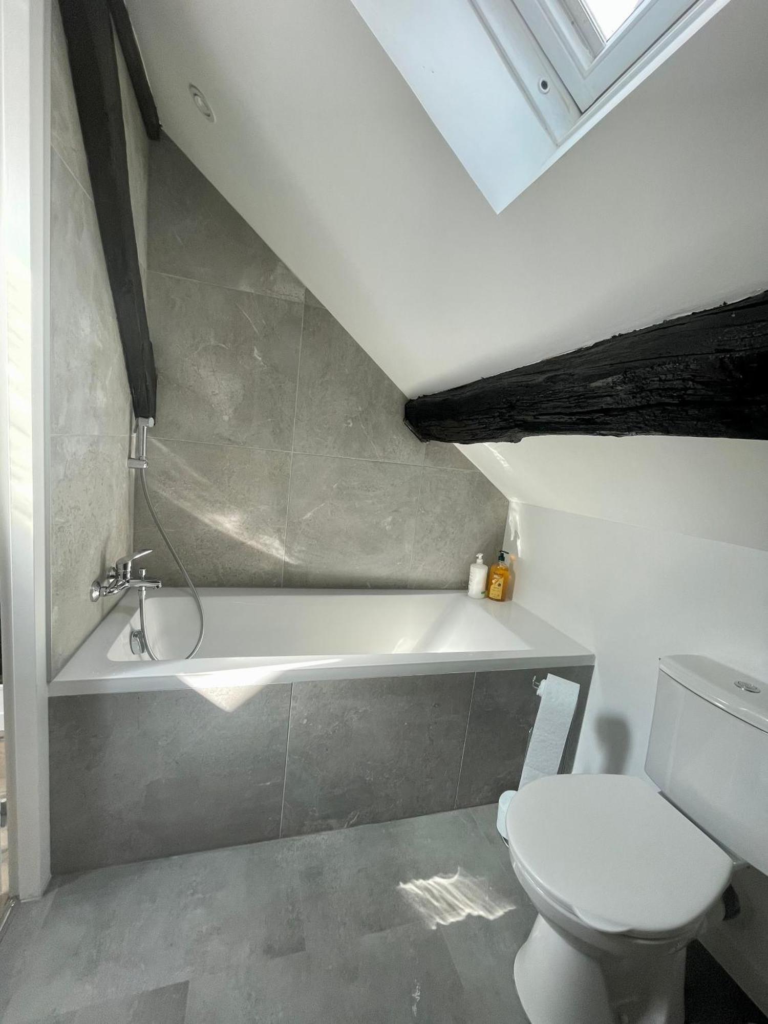 Les Cieux De Bourgogne Appartement Dijon Buitenkant foto